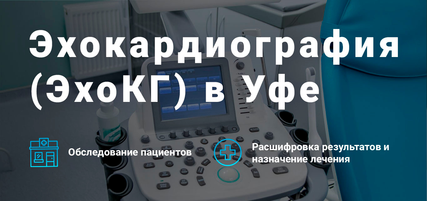 ЭхоКГ